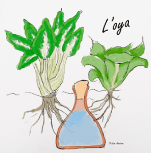 Atuce arrosgae : l'oya