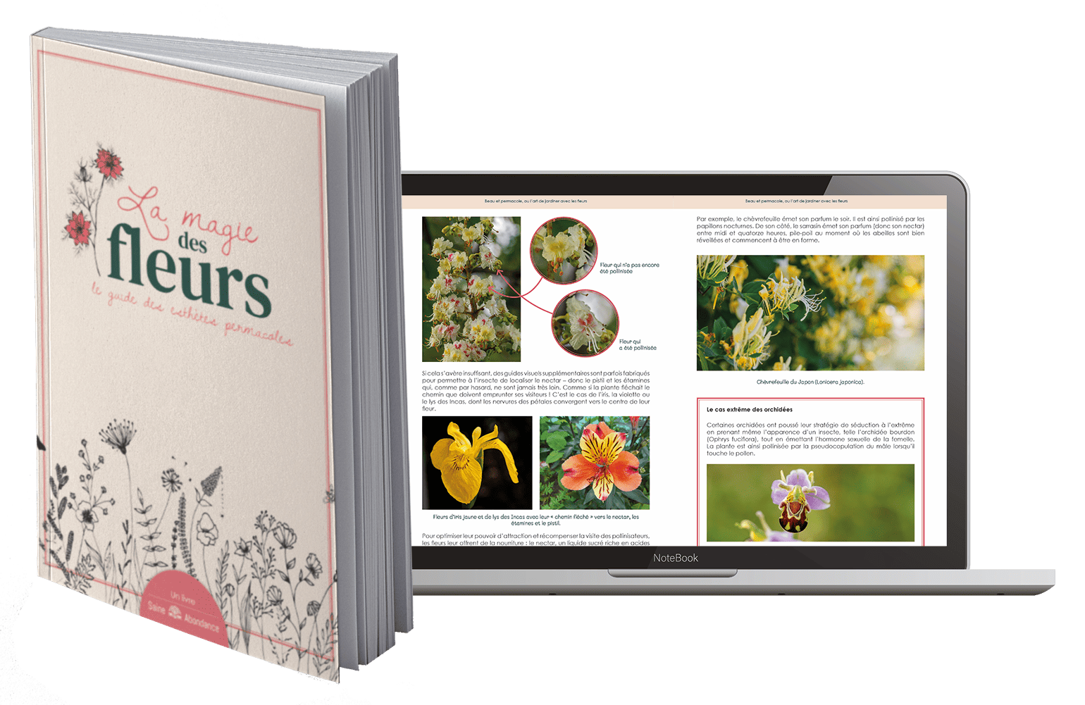 Fleur Qui Commence Par La Lettre E Livre permacole : La magie des fleurs - Saine Abondance